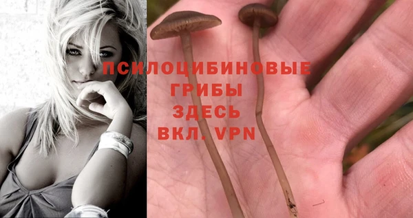 марки nbome Балахна