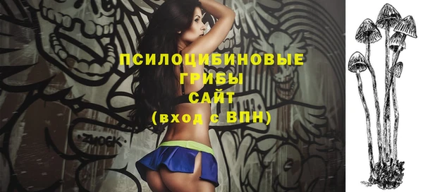 Альфа ПВП Баксан
